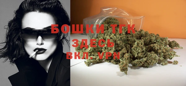 шишки Нея
