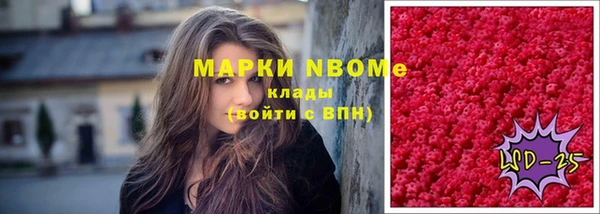 стафф Новокубанск