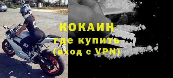 шишки Нея