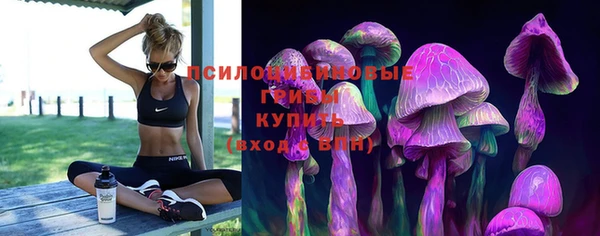 шишки Нея